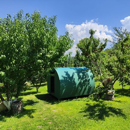 Nataly Campsite Yeghegnadzor Esterno foto