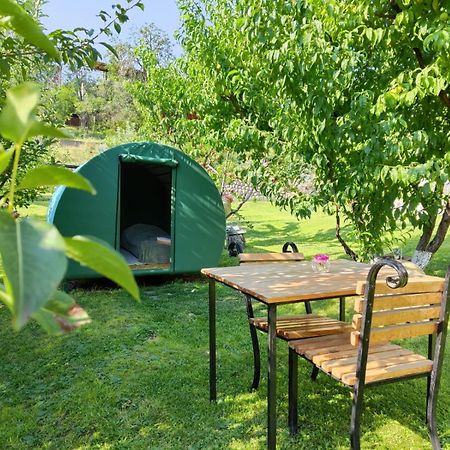 Nataly Campsite Yeghegnadzor Esterno foto