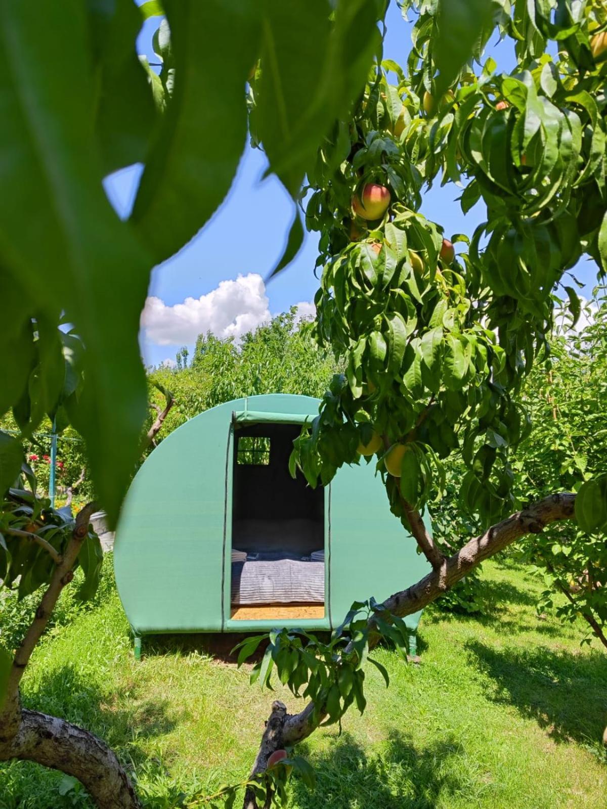Nataly Campsite Yeghegnadzor Esterno foto