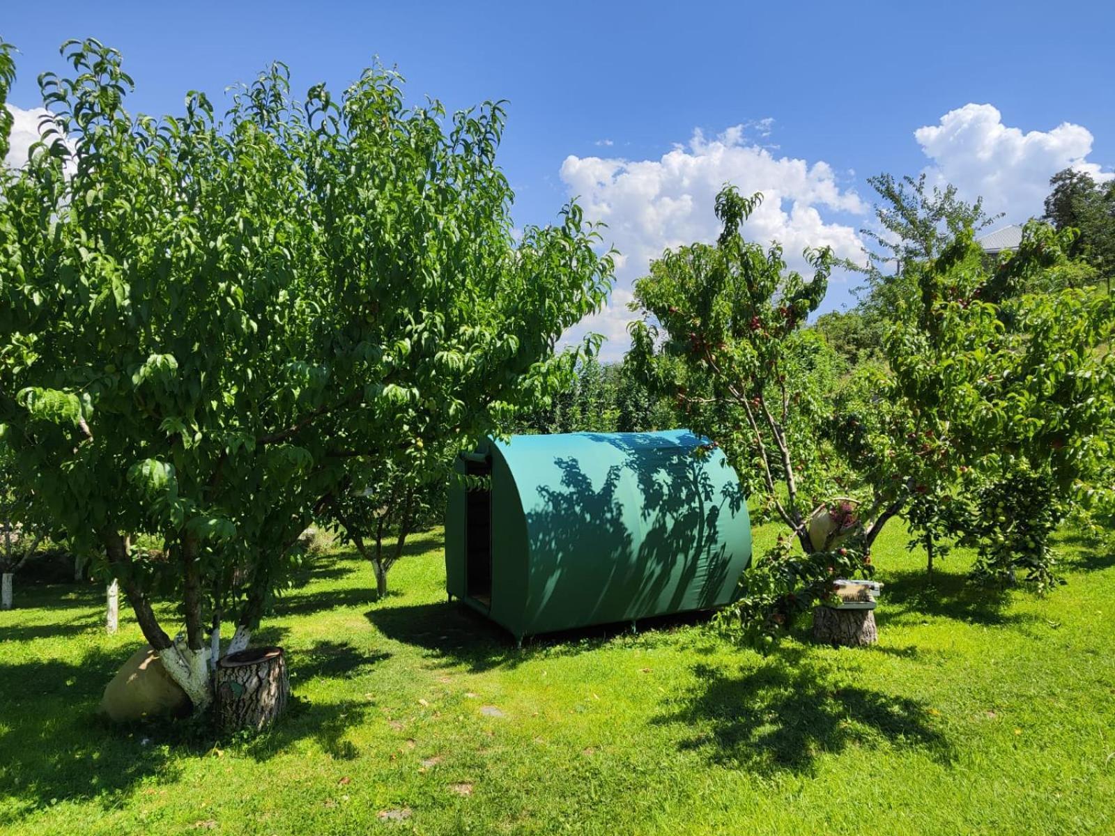 Nataly Campsite Yeghegnadzor Esterno foto