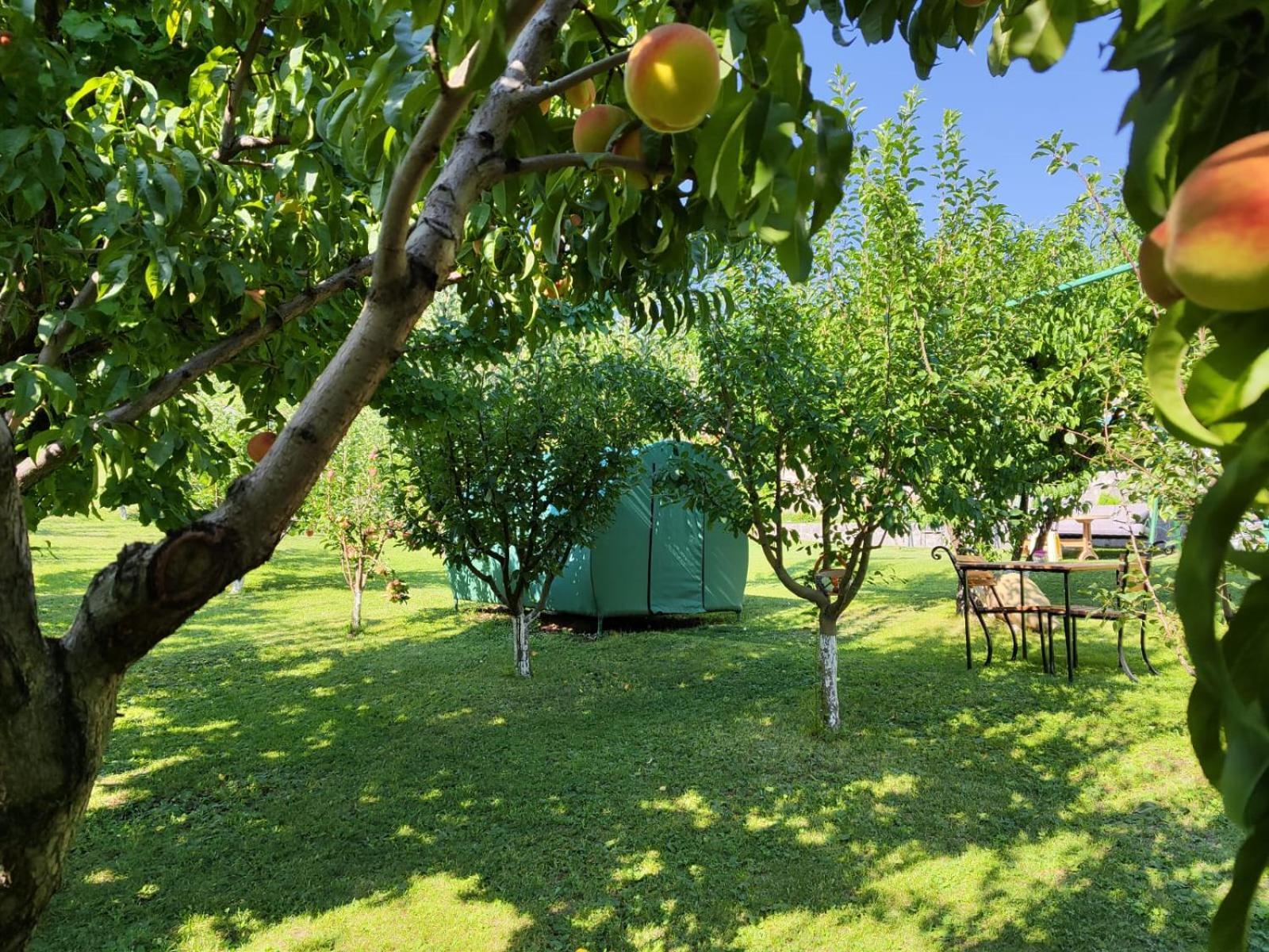 Nataly Campsite Yeghegnadzor Esterno foto